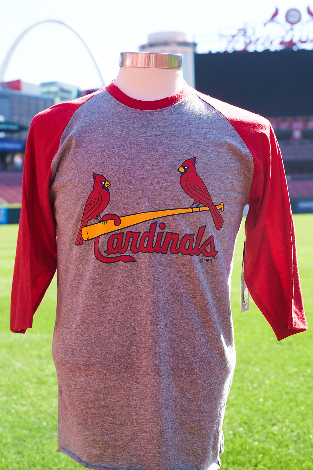 cardinals baseball shop