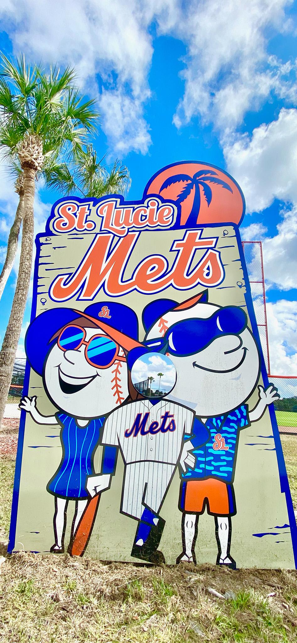 Mets Virtual Backgrounds