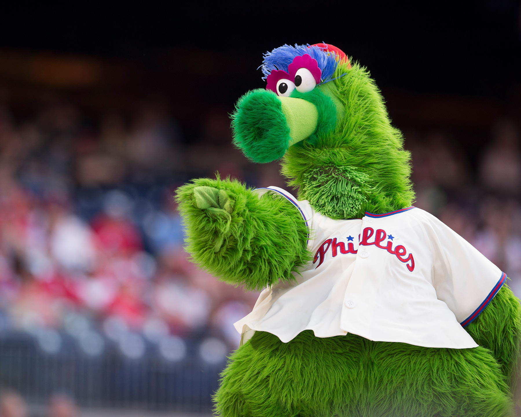 What is the Phillie Phanatic: A history on one of baseball's most iconic  mascots